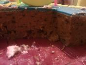 Plazma torta (7)