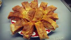 Pica pita (8)