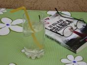 Sirup od zove (3)