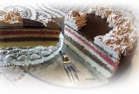 Torta sa malinama i čokoladom