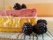 Kupina ledene kocke