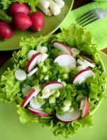 Zelena salata sa lukom i rotkvicama