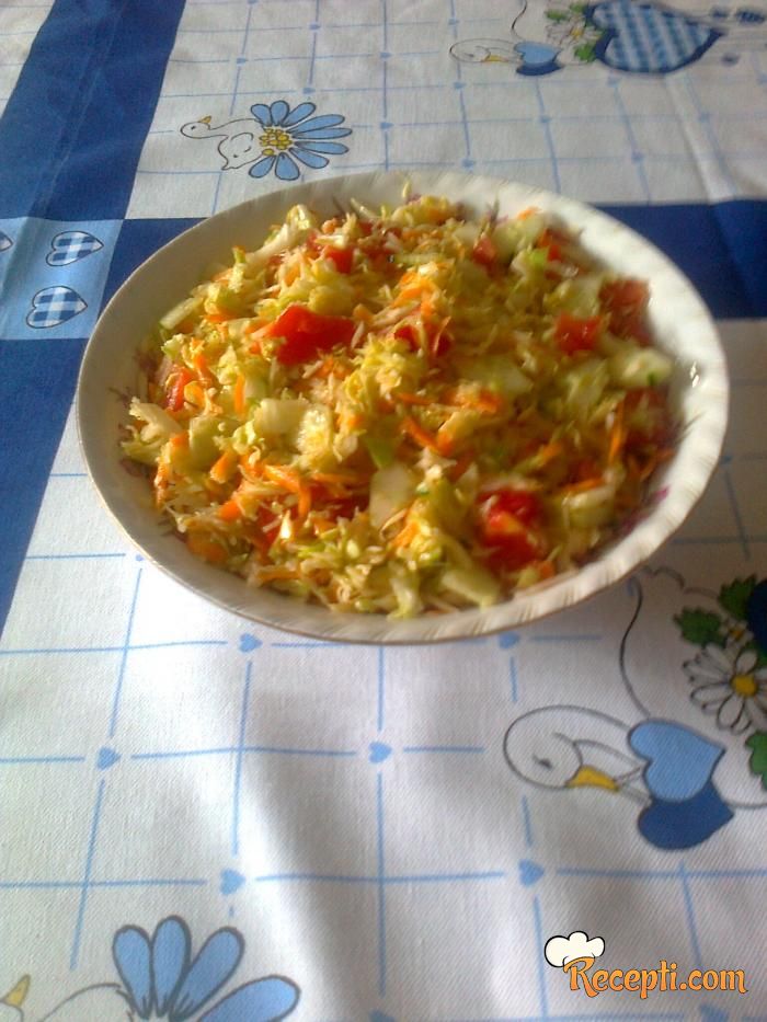 Šarena salata (6)