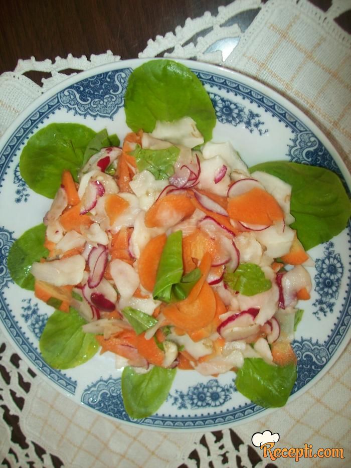 Čičoka salata