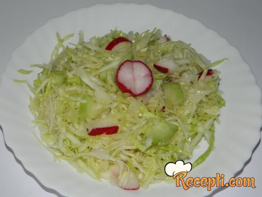 Šarena kupus salata