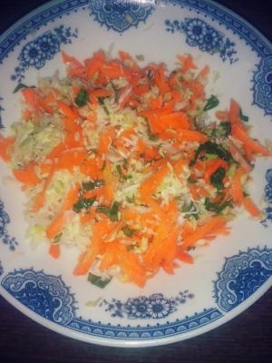 Vitaminska rendana salata