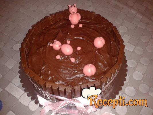 Čokoladna torta (28)
