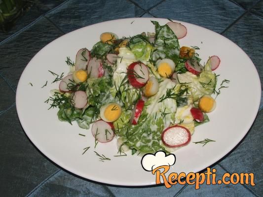 Prolećna salata sa prelivom od mirođije
