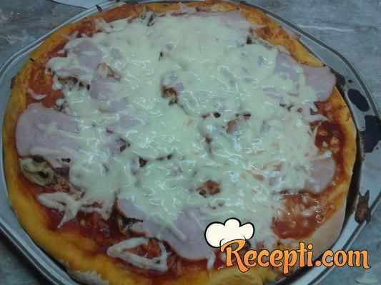Pizza (15)