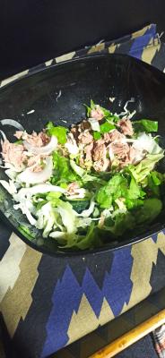 Tuna salata (3)
