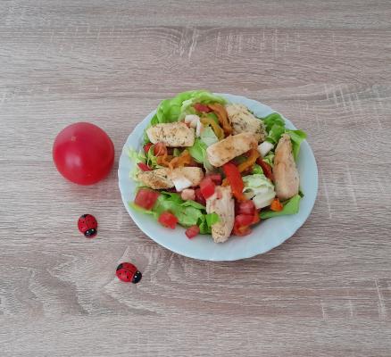Pileća salata sa paprikama i paradajzom