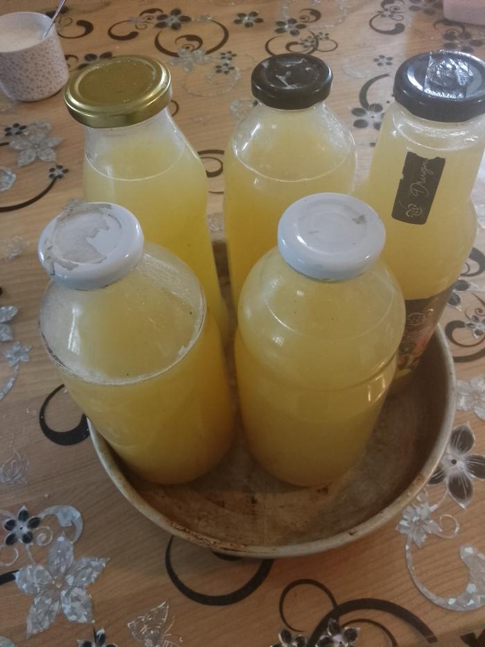 Sok od dunja (2)