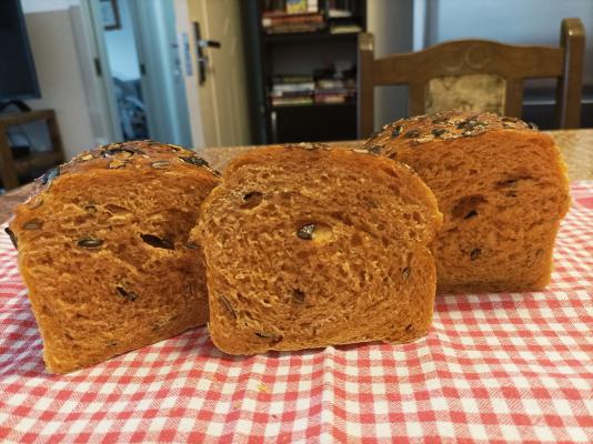 Hleb sa paradajzom i semenkama bundeve