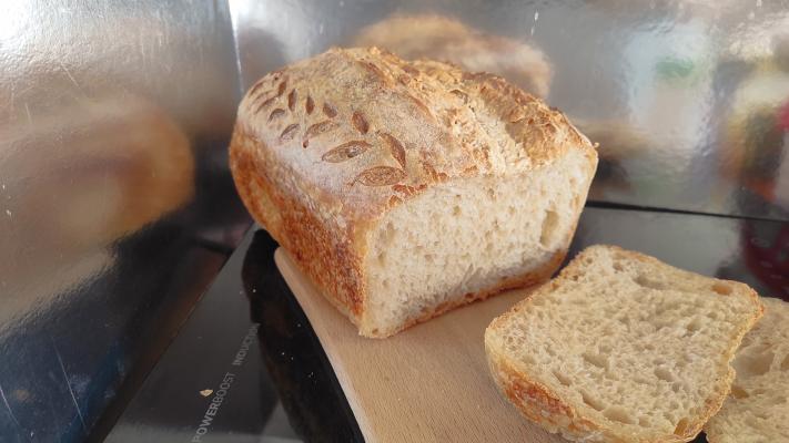 Sourdough hleb sa ječmenim brašnom u kalupu