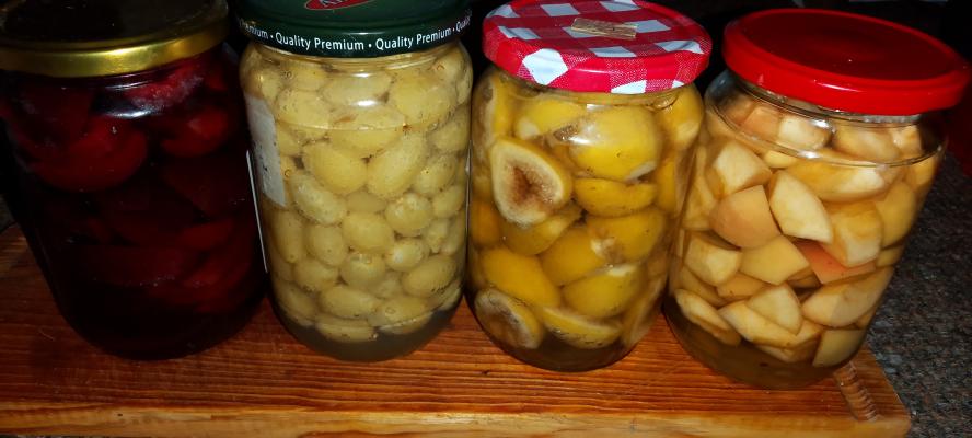 Kompot 