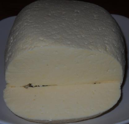 Lažna skuta (fini sir)