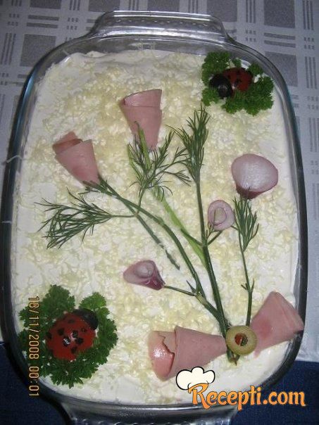 Ruska salata (3)
