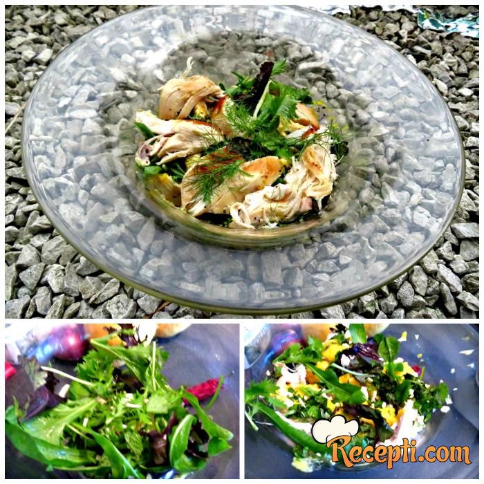 Safran pileća začinska salata