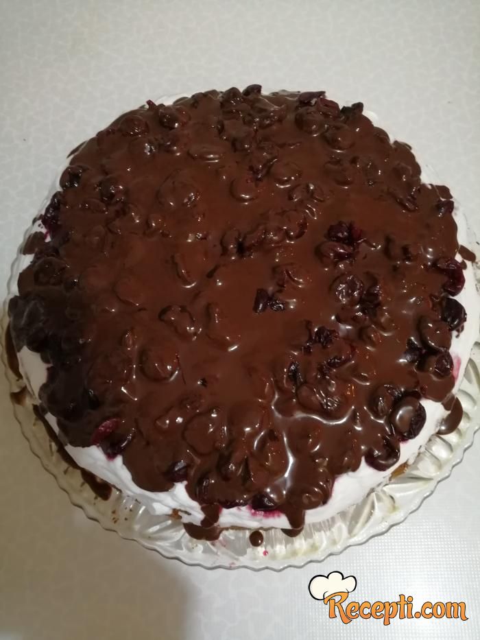 Voćna torta filovana čokoladom