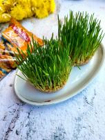 Kako posejati žito za Božić (bez zemlje)