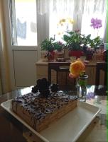 Kapučino torta (9)